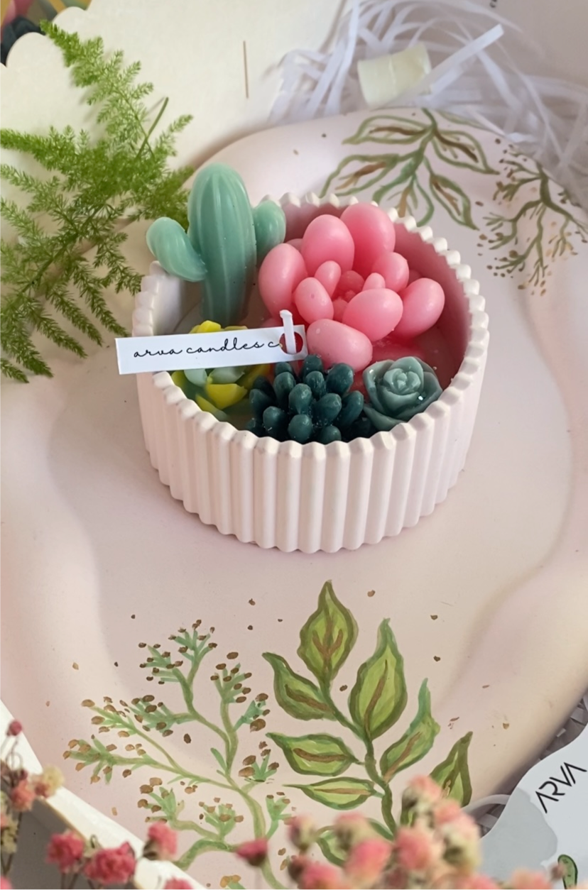 Cactus Collection