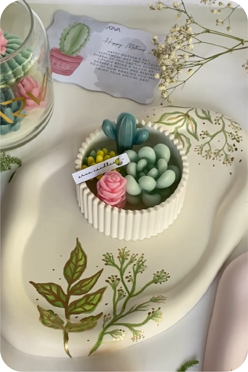 Cactus Collection